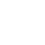 icone site web 150x150