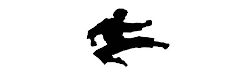 aikido